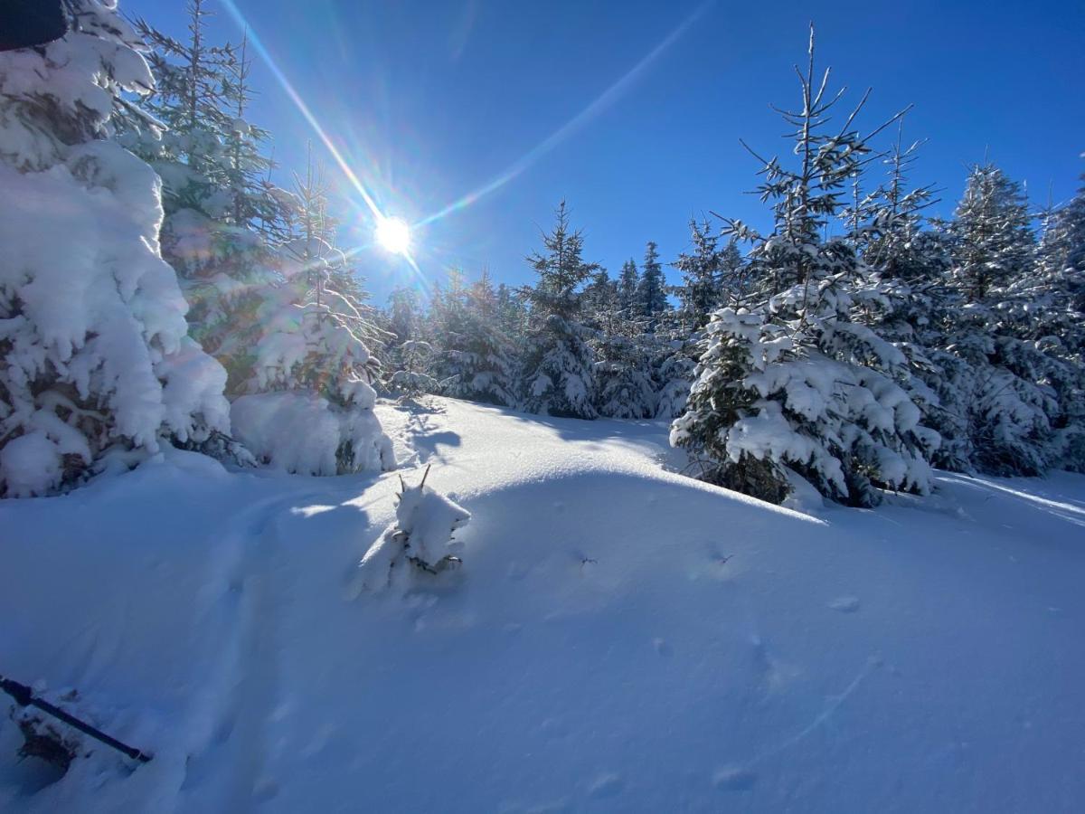 Top Fewo Mit Sommercard Winterberg Exterior foto